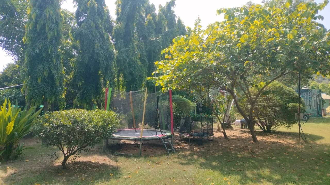 Selva Tree Hotels & Resorts - view 6